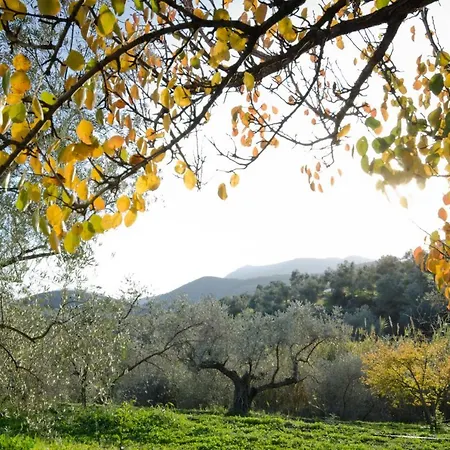 Armonia Alpujarra Eco * Lanjarón