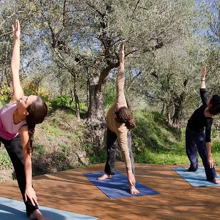 Armonia Alpujarra Eco Hébergement de vacances Lanjarón
