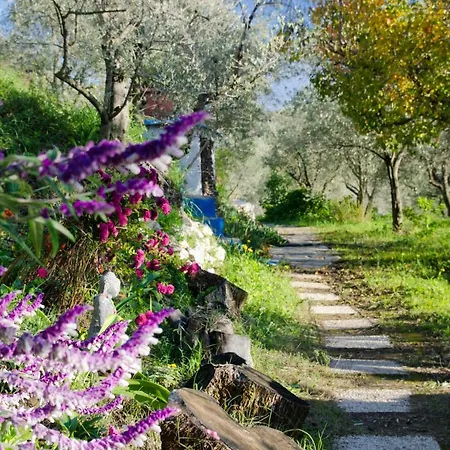 Armonia Alpujarra Eco *